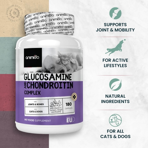 Glucosamine & Chondroitin